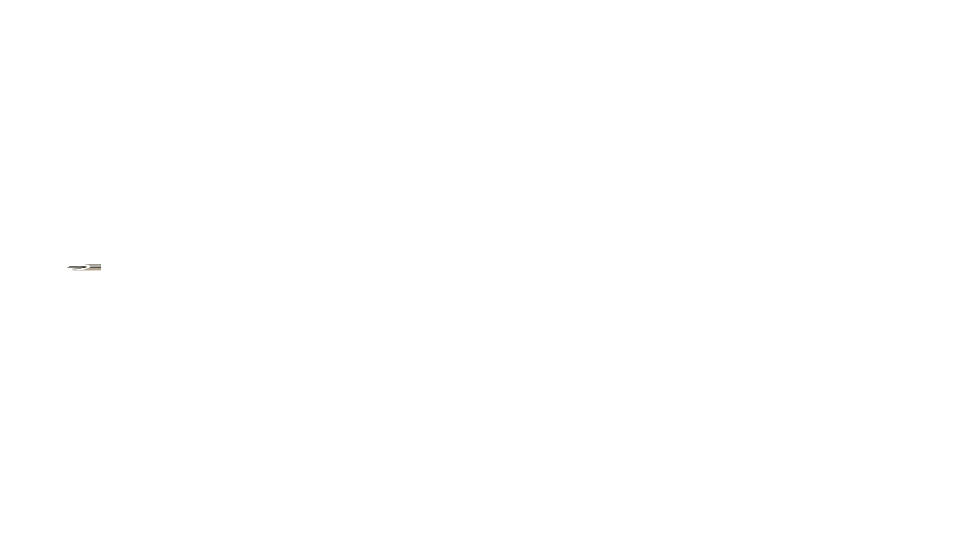 Needle Bevel Tip